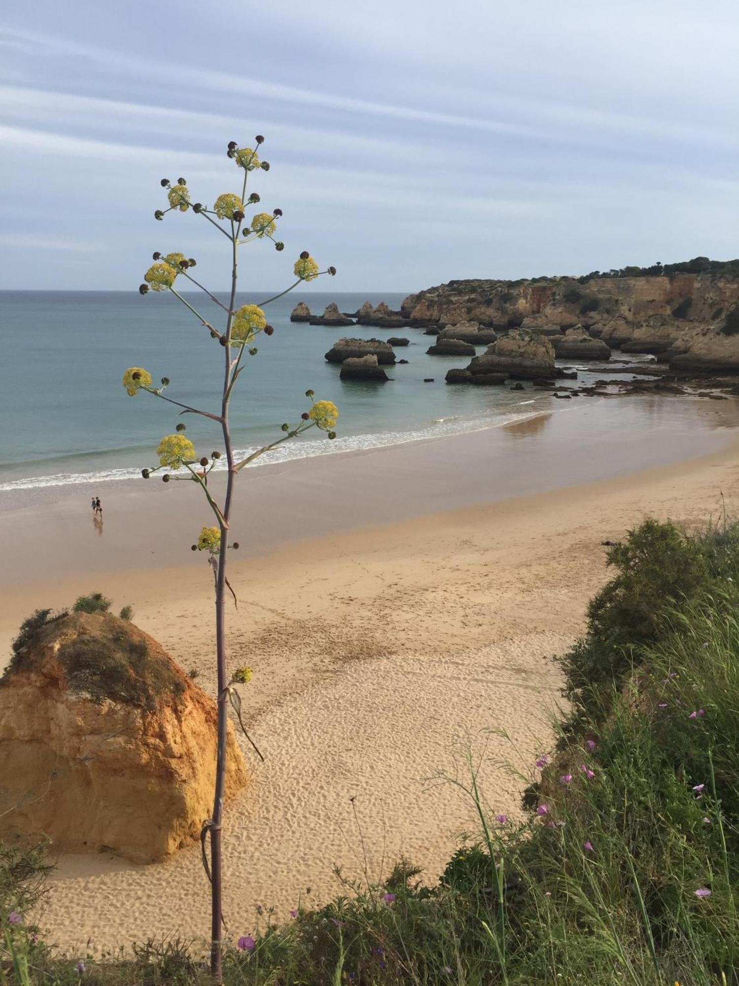 Casa Tres Palmeiras Portimao Luaran gambar